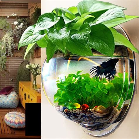 Fish Tanks, Bowls & Aquariums .